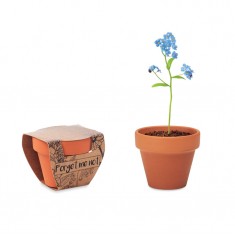 Grow Your Own Terracotta Pot