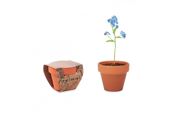 Grow Your Own Terracotta Pot