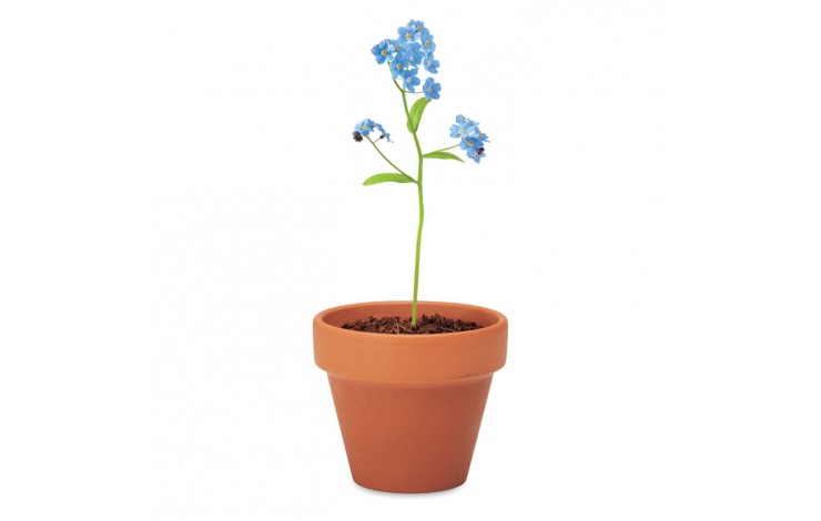 Grow Your Own Terracotta Pot