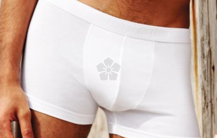 Fruit of the Loom Classic Shorty Boxers