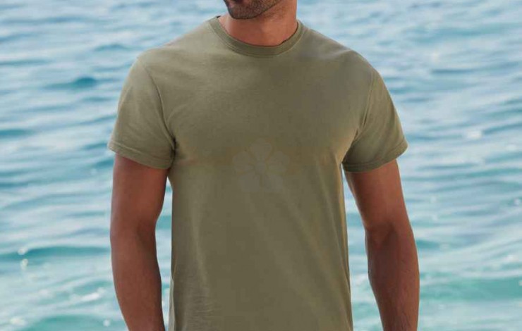 Fruit of The Loom Screen Stars Original Full Cut T Shirt