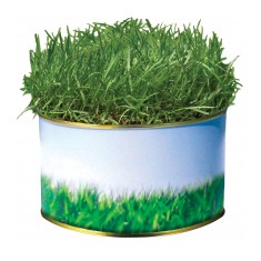 Garden in a Tin