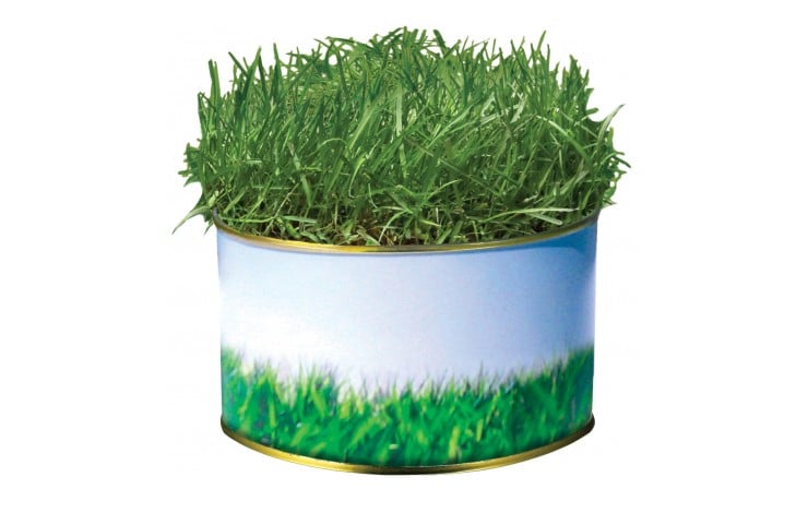 Garden in a Tin