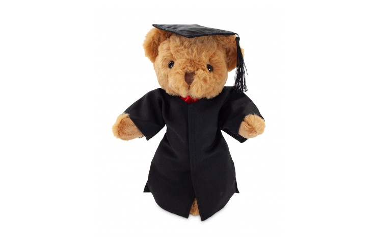 Graduation Recycled Bear
