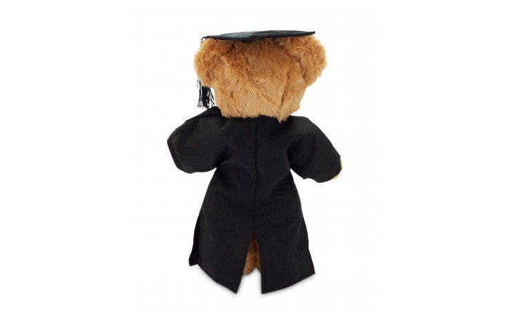 Graduation Recycled Bear