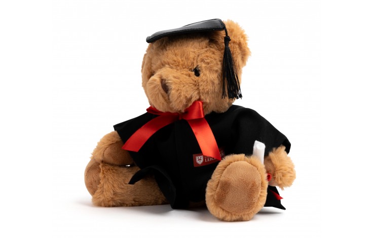 Graduation Recycled Bear