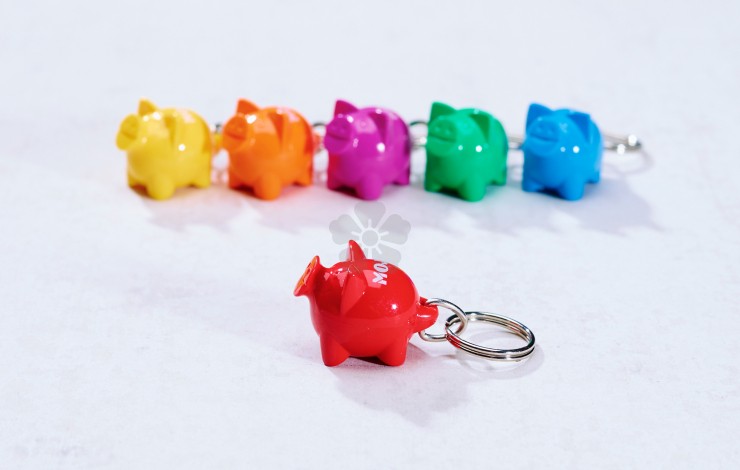 Happy Piggy Keyring