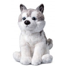 Husky Soft Toy