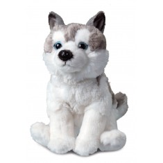 Husky Soft Toy