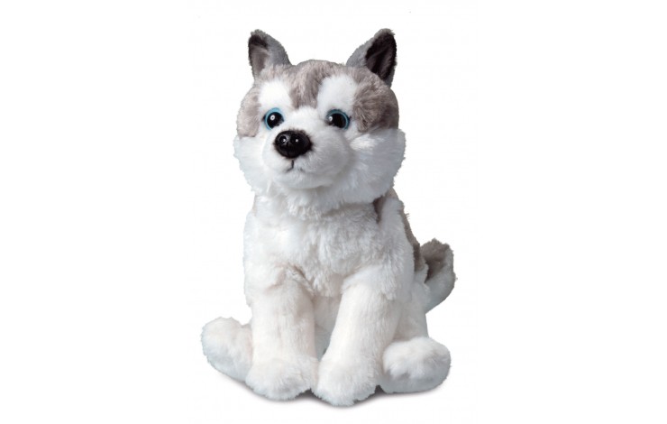 husky soft toy