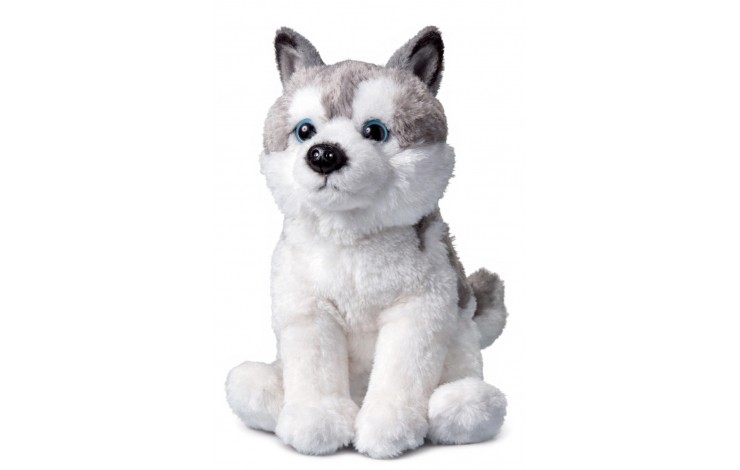 Husky Soft Toy