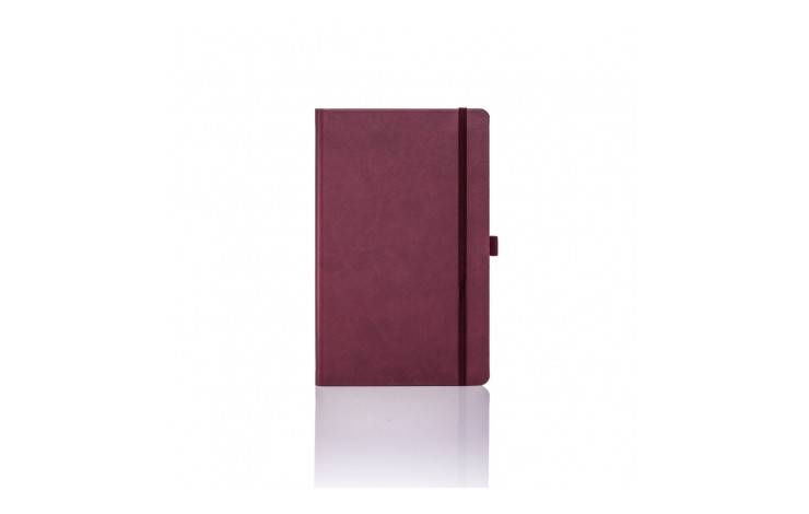 Tucson Medium Notebook
