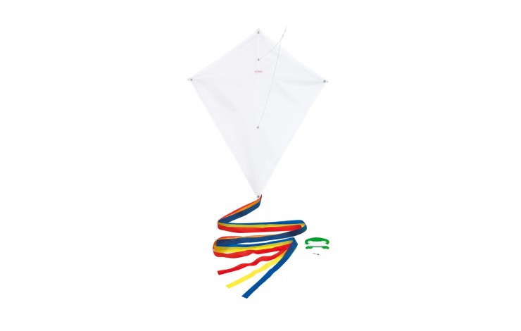 Kite