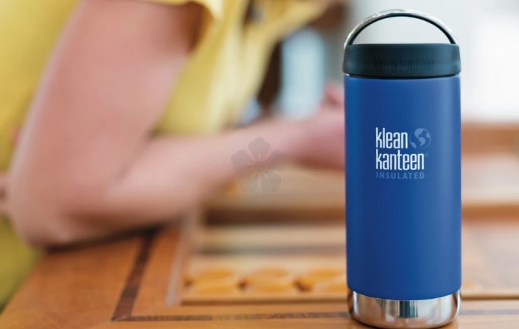 Klean Kanteen TKWide 12oz Flask