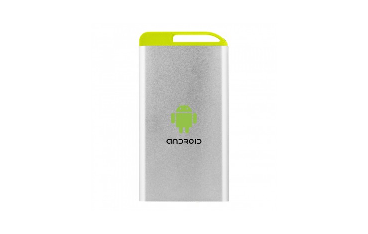 Knightsbridge Power Bank