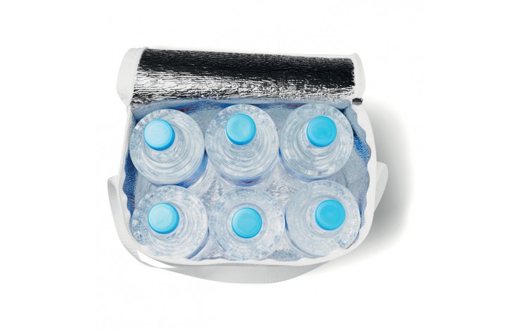 Large Drinks Cooler Bag