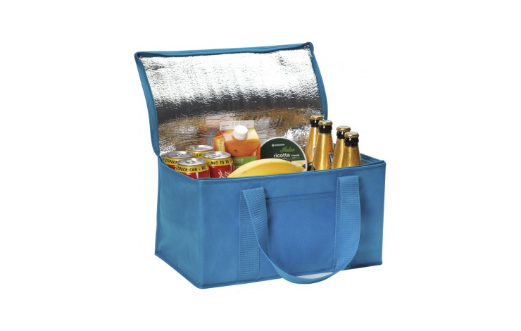 Large Rainham Cooler Bag