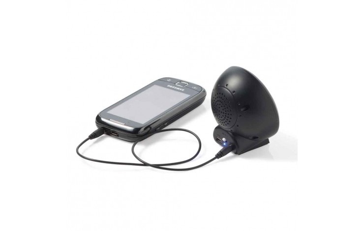 Logo Speaker