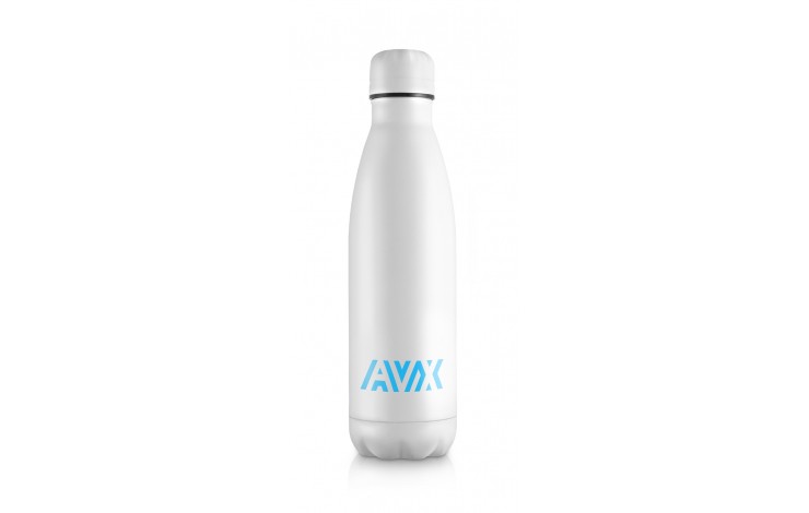 Matt Insulated Bottle