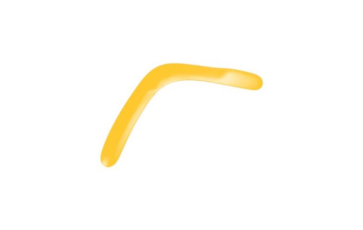 Large Boomerang