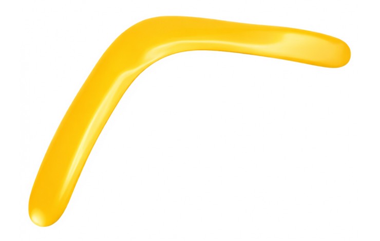 Large Boomerang