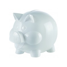 Maxi Piggy Bank