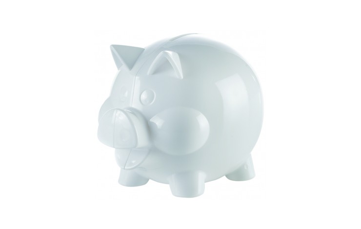 Maxi Piggy Bank
