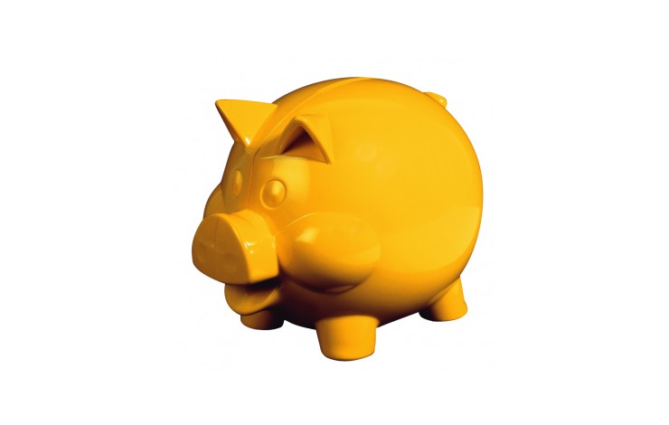 Maxi Piggy Bank