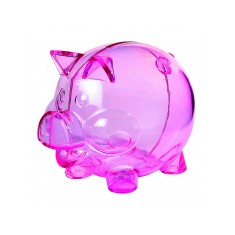 Maxi Piggy Bank