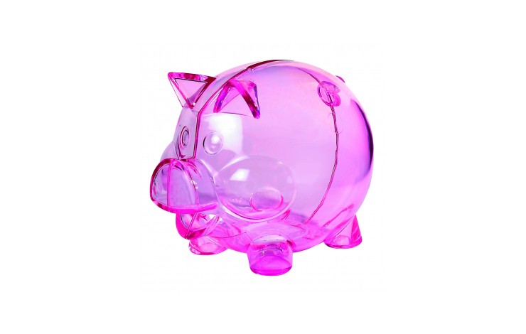 Maxi Piggy Bank