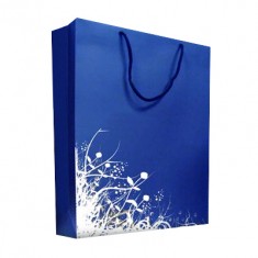 Large Gloss Laminated Bag