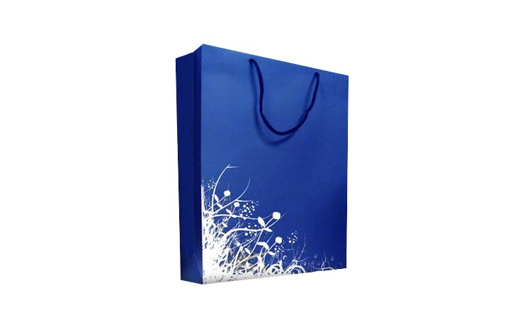 Large Gloss Laminated Bag