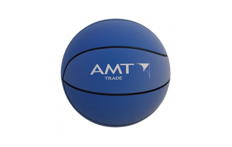 Mini Basketball