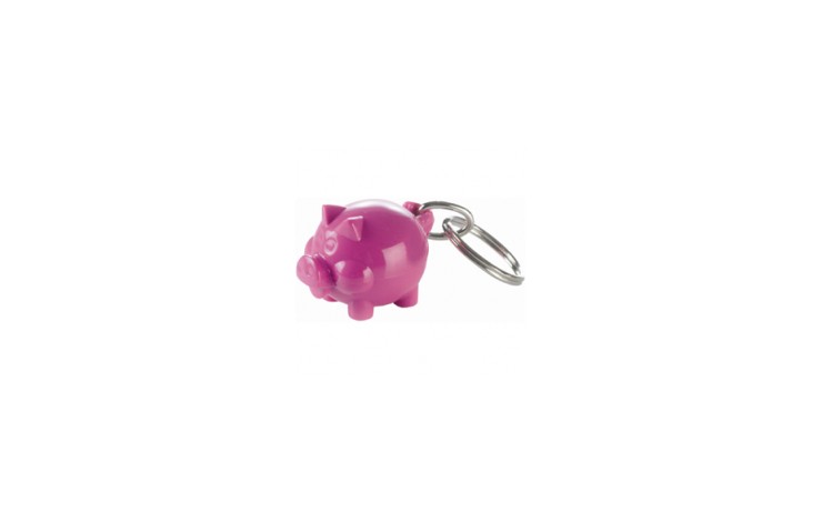 Mini Piggy Keyring