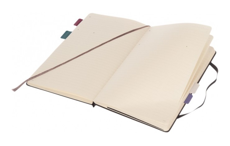 Moleskine Professional Large Notebook