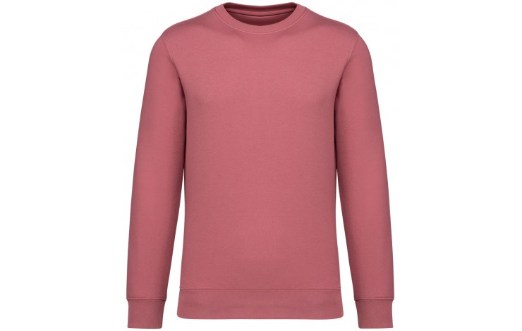 Native Spirit Unisex Sweatshirt