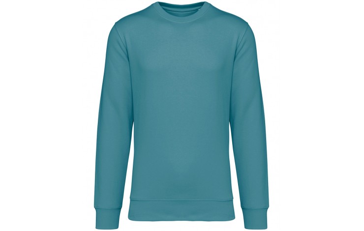 Native Spirit Unisex Sweatshirt