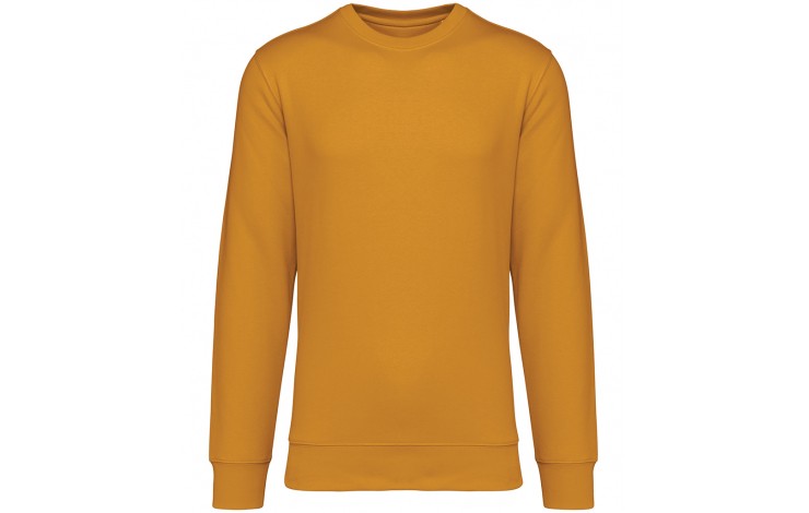 Native Spirit Unisex Sweatshirt