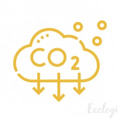 Offset Carbon Emissions