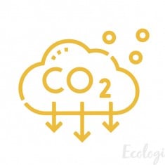 Offset Carbon Emissions