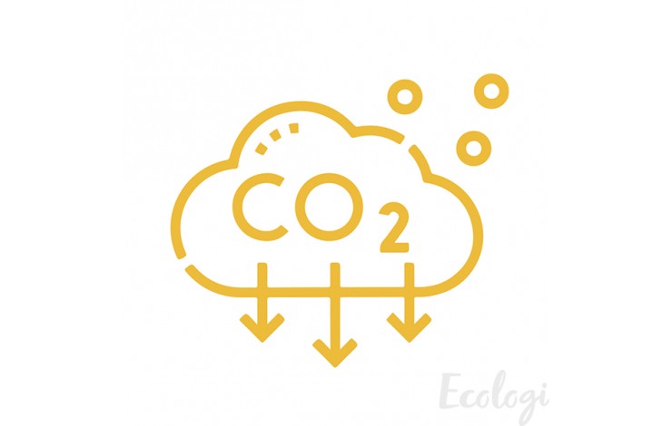 Offset Carbon Emissions
