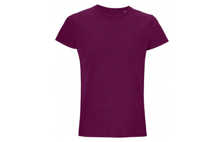 Organic Slim Fit T-Shirt