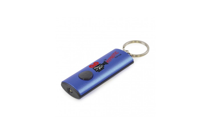 Oval LED Torch Keyring