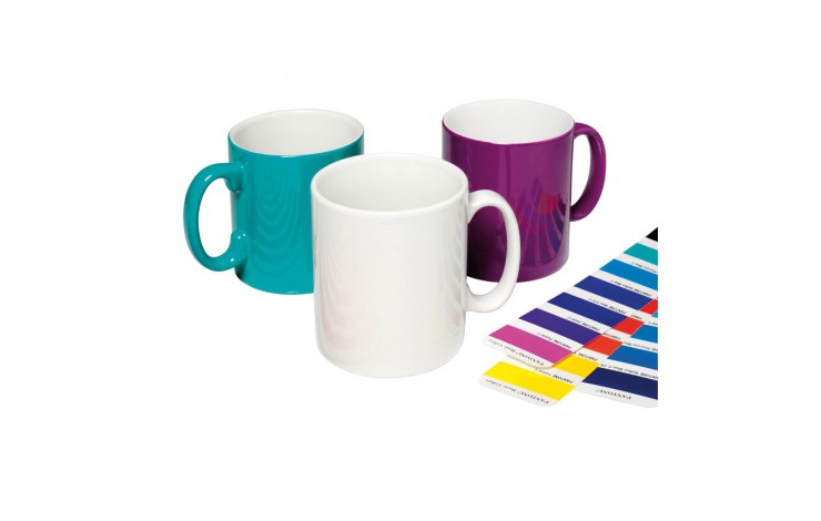 Pantone Matched Durham ColourCoat Mug