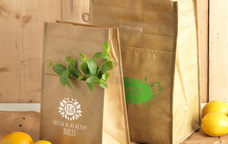Paper Bag Cooler