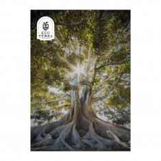 Paper Poster