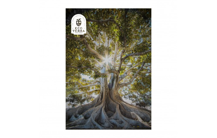 Paper Poster