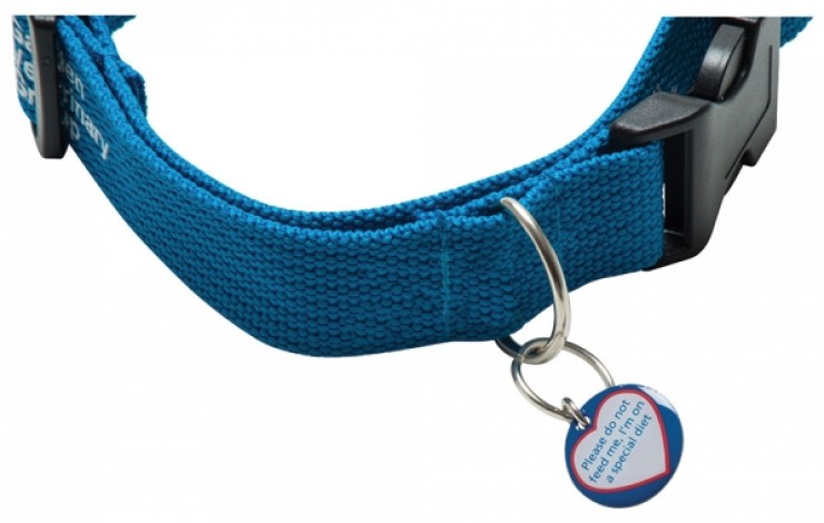 Pet Collar Tag