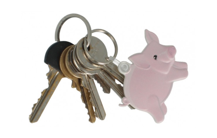 Pig Shaped Keyring