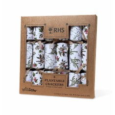 Plantable Christmas Crackers